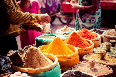 Epices traditionnelles dans un bazar en Inde  