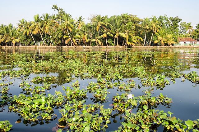 Voyage Epices et cocotiers, trésors du Kerala