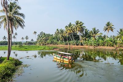 Les Backwaters au Kerala - Inde