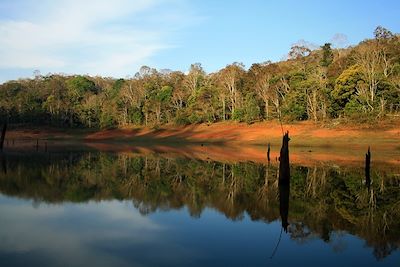 Voyage Douceurs du Kerala 3