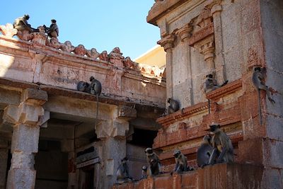 Temple Hampi - Karnataka - Inde