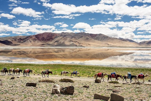 Voyage De Rumtse au Tso Moriri