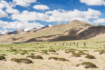 Traversée de la haute plaine du Tso Kar - Ladakh - Inde