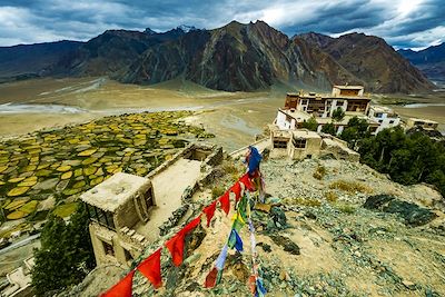 Stongde Gompa - Zanskar - Inde