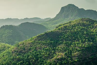 © Homesh / Getty - Parc national de Pachmarhi Parc national de Pachmarhi
