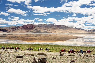 Voyage  Ladakh