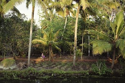 Voyage Kerala