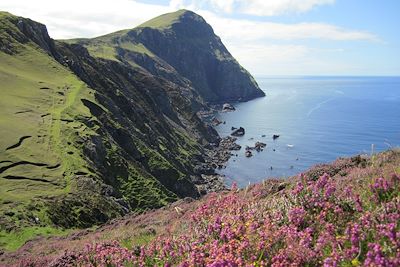 Voyage Forêts, collines, rivières et lacs Irlande