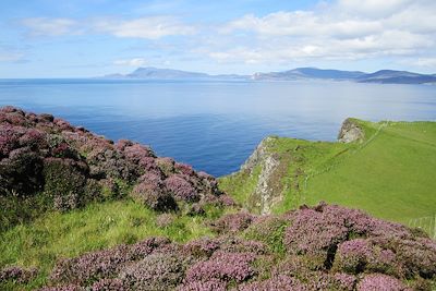 Falaise de Clare Island - Irlande