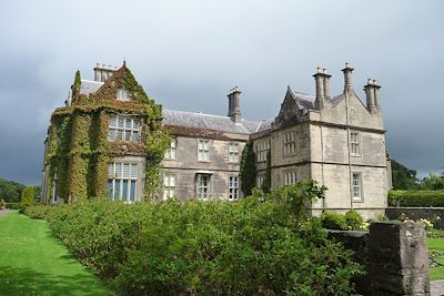 © Berengere Mercier - Parc National de Killarney - Kerry - Irlande Parc National de Killarney - Kerry - Irlande