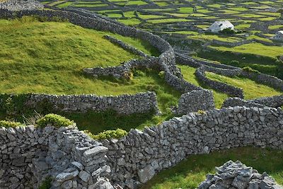 © JUAN CARLOS MUNOZ / Adobe Stock - Les Iles d'Aran - Irlande Les Iles d'Aran - Irlande