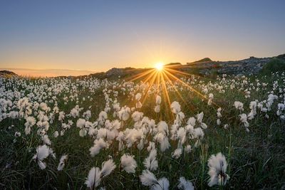 © Michael McLaughlin / Failte Ireland - Inishturk - Comté de Mayo - Irlande Inishturk - Comté de Mayo - Irlande