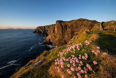 © Michael McLaughlin / Failte Ireland - Inishturk - Comté de Mayo - Irlande Inishturk - Comté de Mayo - Irlande