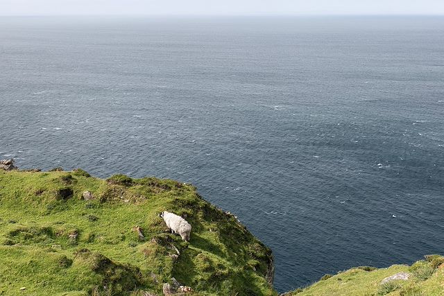 Voyage Du Connemara à la Chaussée des Géants
