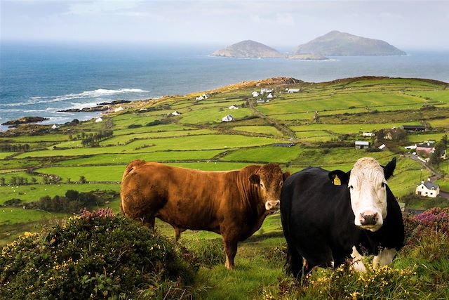 Voyage Péninsules de l'ouest irlandais et Connemara