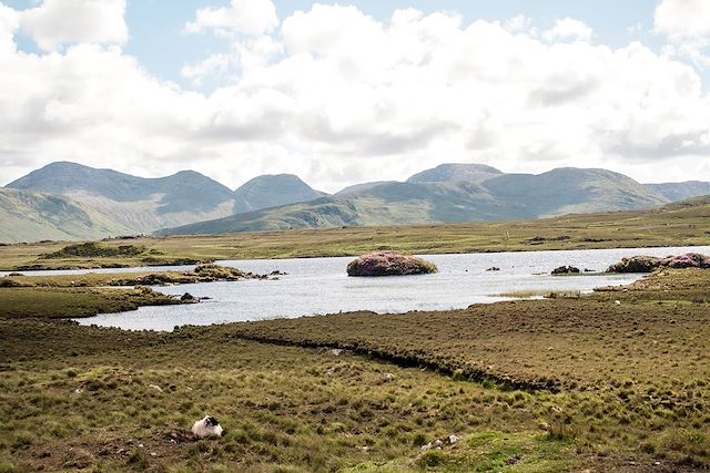 Voyage Péninsules de l'ouest irlandais et Connemara
