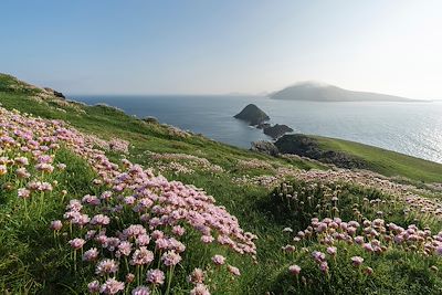 © Francesco Vaninetti Photo / Getty Images - Kerry - Irlande Kerry - Irlande