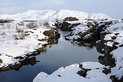 Thingvellir - Islande