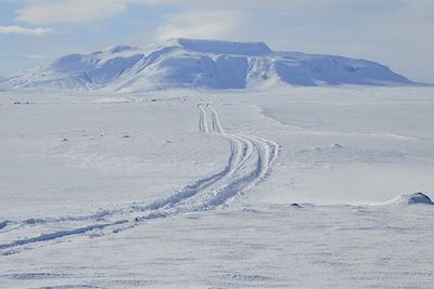 Piste entre les glaciers - Islande