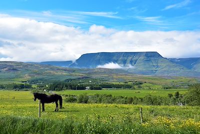 © Quentin Stassin - Cercle d'Or - Islande Cercle d'Or - Islande