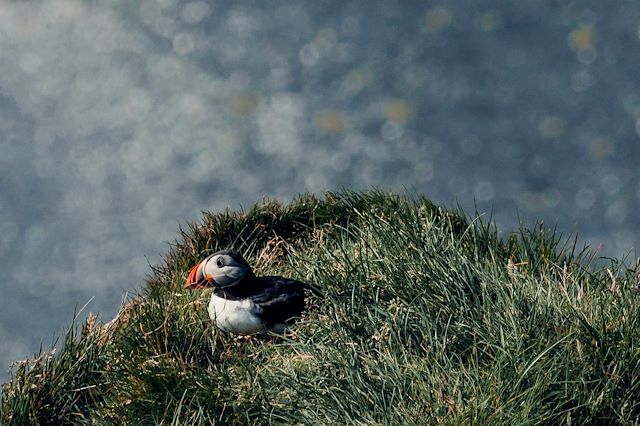 Voyage Eclipse totale en Islande