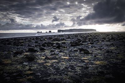© Michel Candoni - La péninsule Dyrhólaey - Région du Suðurland - Islande La péninsule Dyrhólaey - Région du Suðurland - Islande