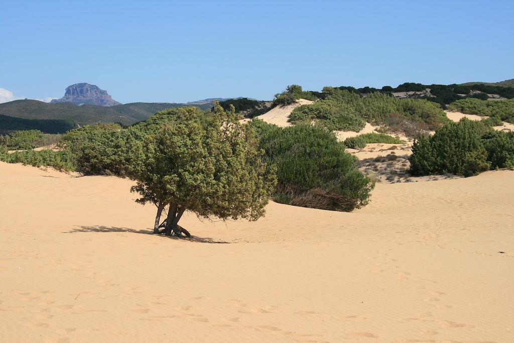 Voyage Roadtrip en Sardaigne du sud 2