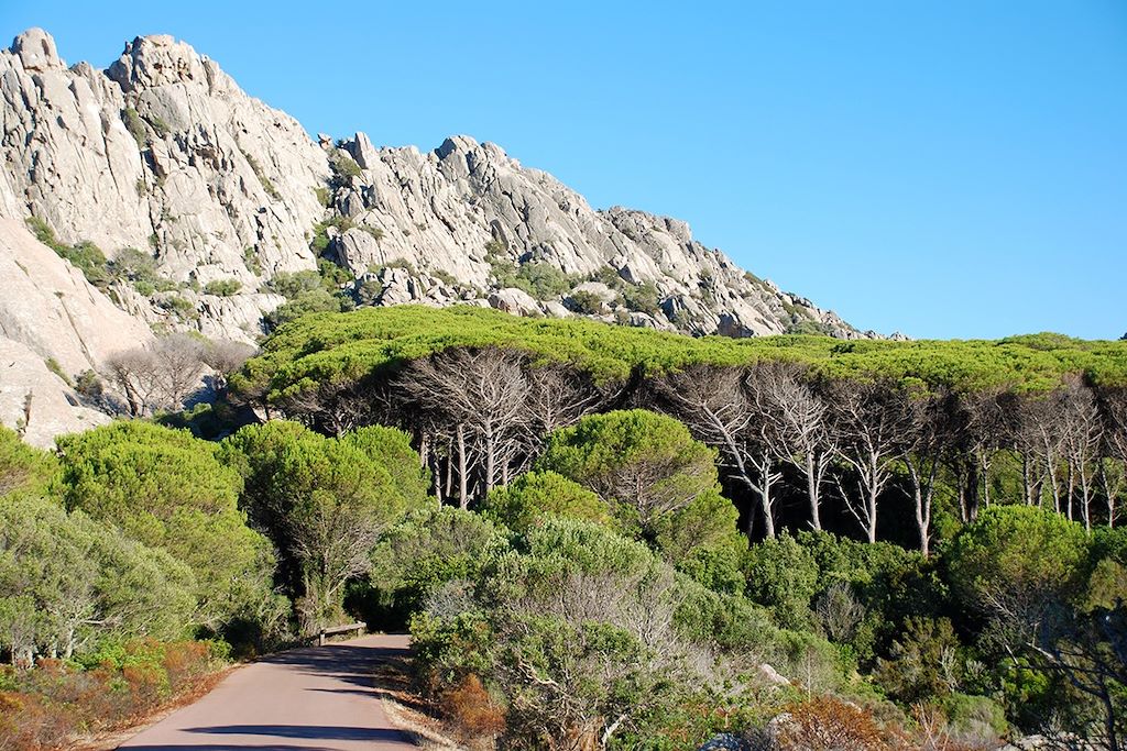 Voyage Roadtrip en Sardaigne du nord 3