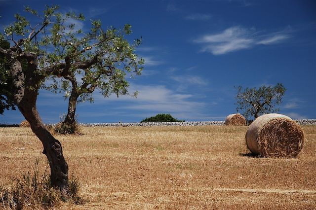 Voyage Les Pouilles, le Salento à vélo