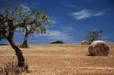 © Clemence Carcanague - La Vallée d'Itria dans la région des Pouilles - Italie La Vallée d'Itria dans la région des Pouilles - Italie