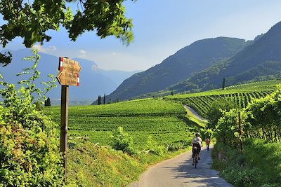 Route de Bolzano à vélo - Italie