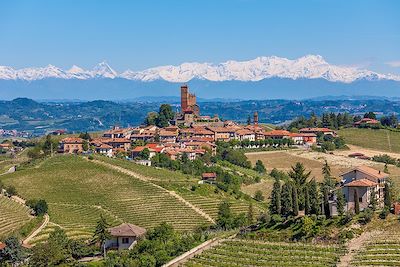 Collines recouvertes de vignes, au loin, les cimes majestueuses des Alpes, Piemont-Italie