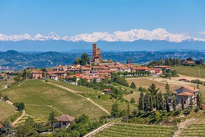© RG Linsky/Istock - Collines recouvertes de vignes, au loin, les cimes majestueuses des Alpes, Piemont-Italie Collines recouvertes de vignes, au loin, les cimes majestueuses des Alpes, Piemont-Italie