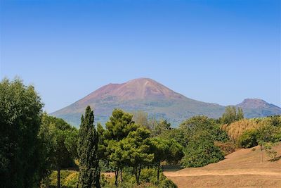 Le Vésuve - Campanie - Italie