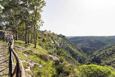 Voyage Nature et patrimoine de Sicile 2