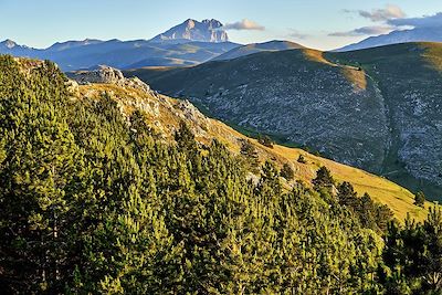 Campagne Rocca Calascio - Parc National du Gran Sasso - Abruzzes - Italie