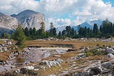 Parc naturel - Fanes-Sennes-Braies - Dolomites - Italie