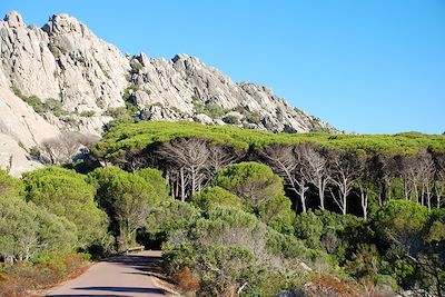 Île de Caprera - Archipel de la Maddalena - Sardaigne - Italie