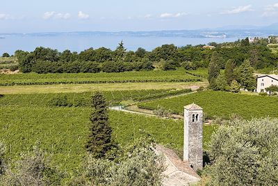 Vignobles de Bardolino - Vénétie - Italie