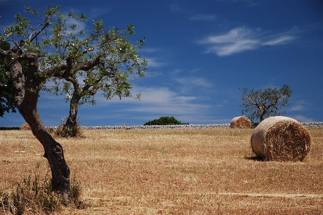 Voyage : Gastronomie, culture et soleil des Pouilles à vélo Voyage Gastronomie, culture et soleil des Pouilles à vélo