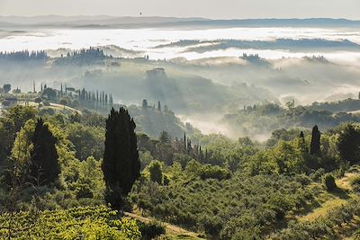 © JACQUES Pierre / hemis.fr - San Gimignano - Toscane - Italie San Gimignano - Toscane - Italie