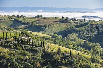 © JACQUES Pierre / hemis.fr - San Gimignano - Toscane - Italie San Gimignano - Toscane - Italie