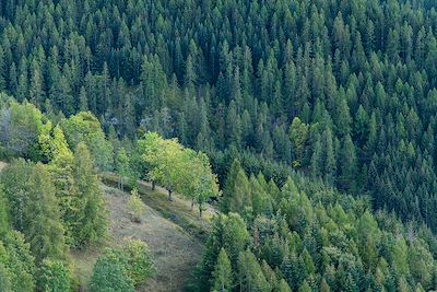 Val Maira - PIémont - Italie