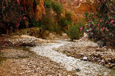 Au coeur du Wadi Ghuweir - Jordanie