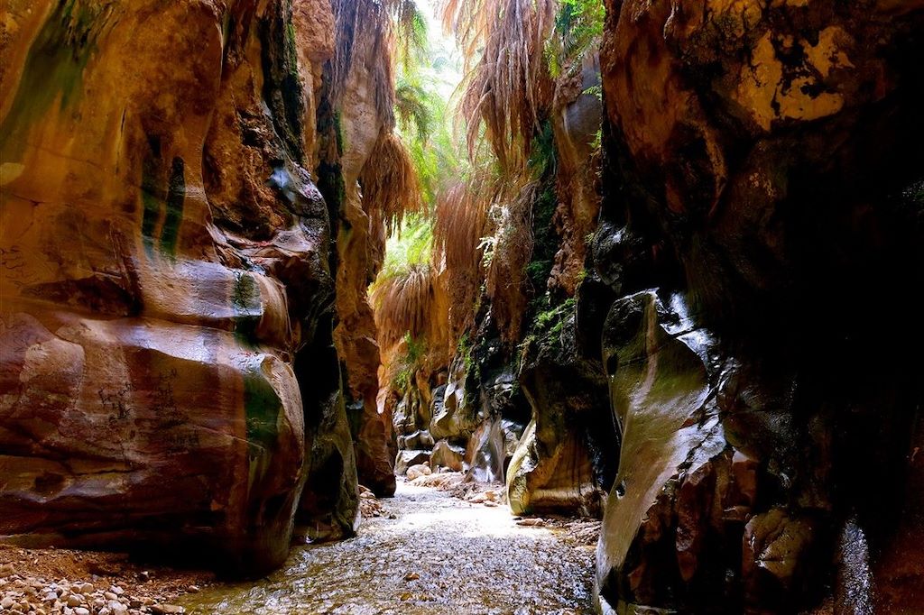 Voyage Canyon de jardins suspendus et désert étoilé 1