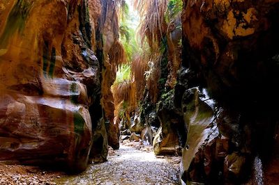 Le Wadi Ibn Hammad - Jordanie