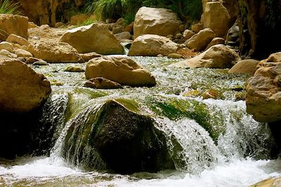 Canyon de jardins suspendus et désert étoilé