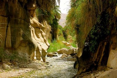 Voyage Canyon de jardins suspendus et désert étoilé 3