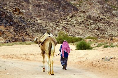 Voyage Jordanie, royaume de roche et de sable 3