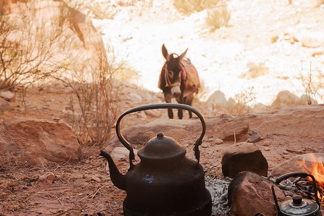 Voyage Aventure jordanienne